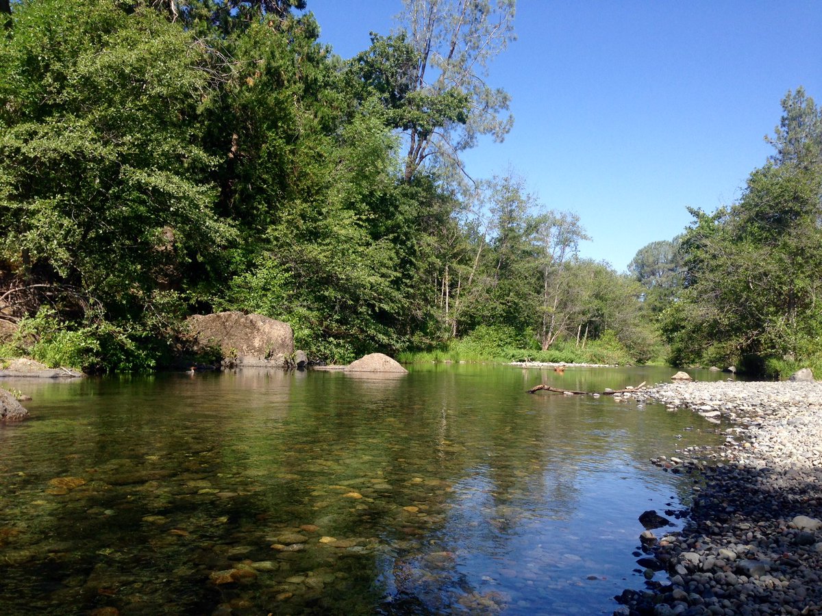 em_berto's tweet photo. Morning hikes in #UpperBidwell. Not a bad way to start the day #ChicoCa https://t.co/gw1ggslHhD