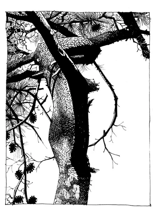 This absolutely genius pine is by great @JamieHewlett.
(I have no words)
more, in his web:
https://t.co/XVSl88i3tU 
