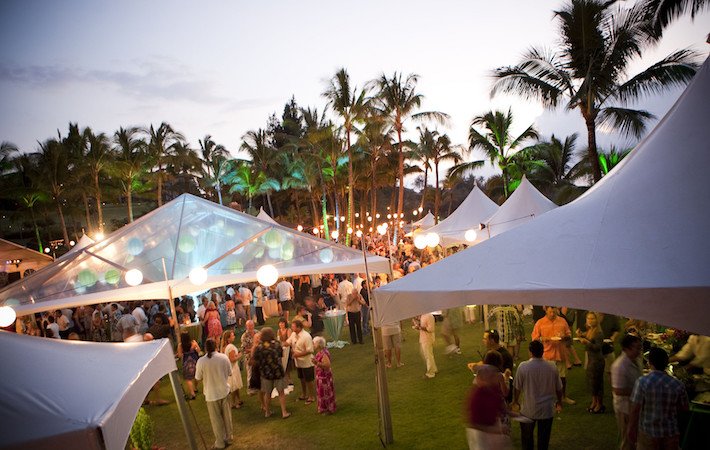 Infinite Legroom tweet media