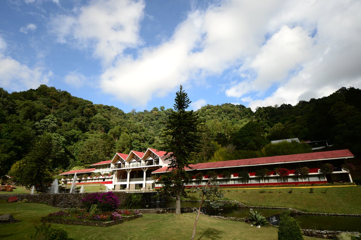 ¡Naturalmente Bambito! Disfruta una estadía increíble en contacto con la naturaleza.