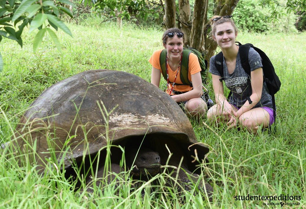 The Galapagos Tortoise can outlive most vertebrates in the world with a life span of over 100 years. #scichat