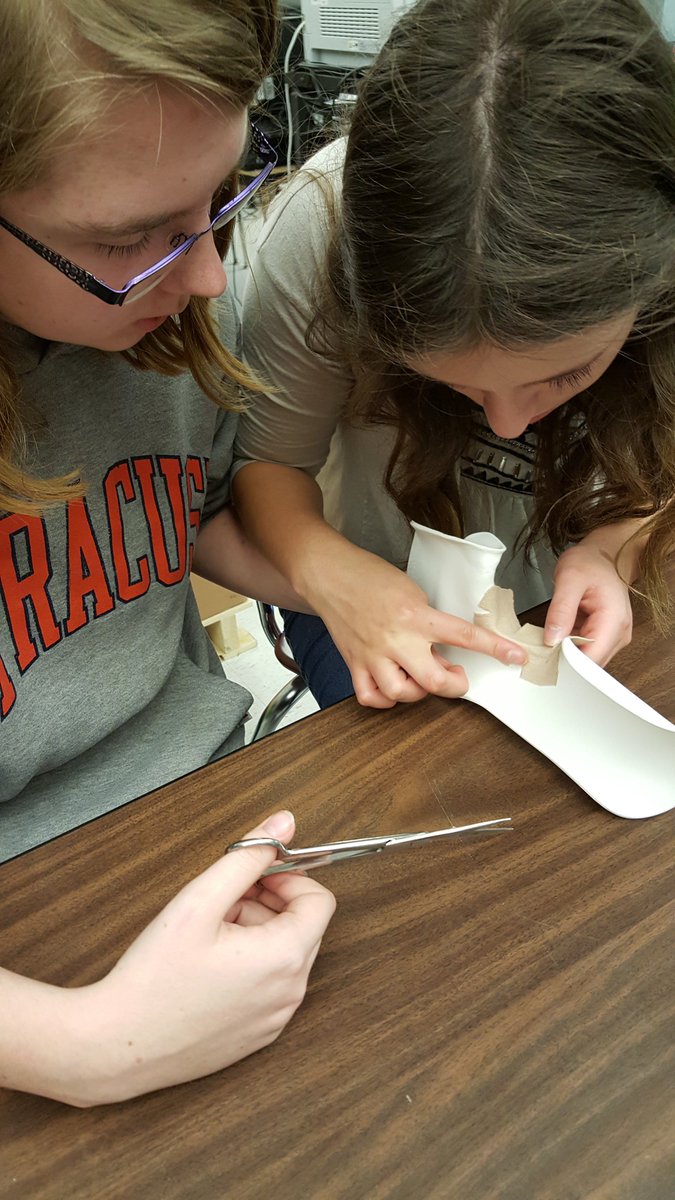 StockValleyCSD's tweet photo. #WeAreSVCS and with @ValleyPTech, we are MakingFRIENDS.   3D printing meets occupational therapy in PBL. https://t.co/OXDUCcYxVR