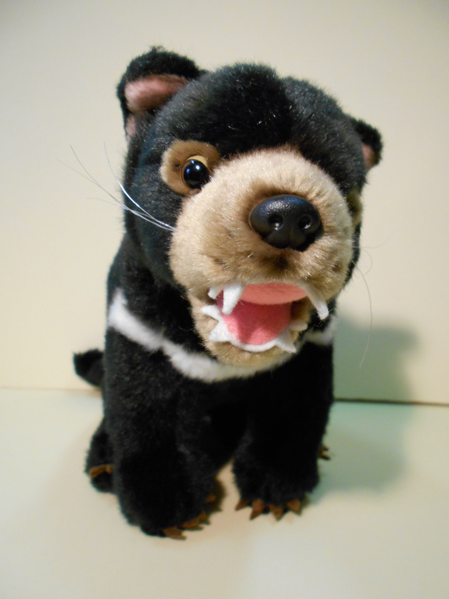 多摩動物公園 公式 珍しい タスマニアデビルグッズ入荷しました 以前から要望の多かった缶バッジも オリジナルでついに登場 是非店頭でご覧ください Tzoo G