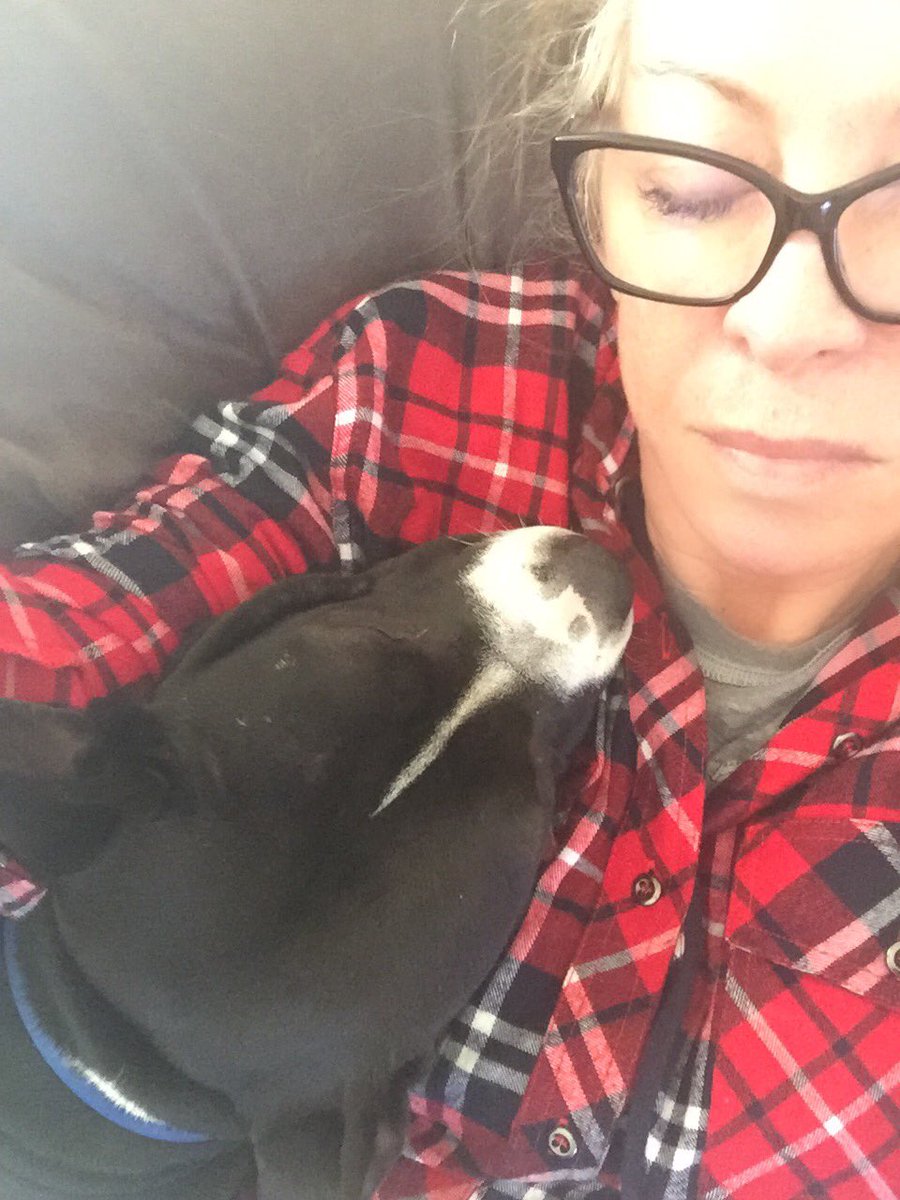 Just chillin #lovelife #luckygirl #itsadogslife