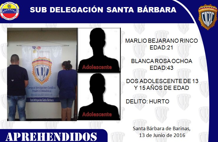 SubsantabaCicpc's tweet photo. S/D Santa Bárbara capturo a marlio Bejarano, Blanca Ochoa, y 2 Adolescentes, por Hurto/.recup. varios objetos https://t.co/DfZxBOSKWj