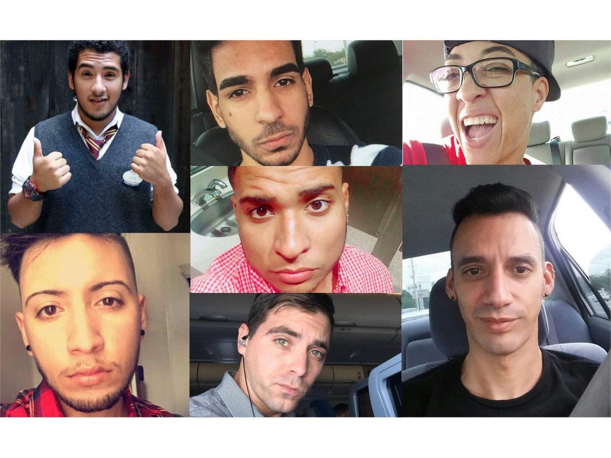 bergendispatch tweet media