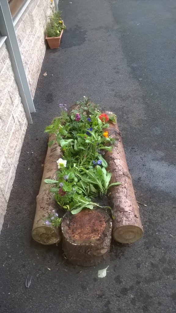 EnsellJonathan's tweet photo. Well done Willenhall brownies great planting https://t.co/6O6E82SBu7