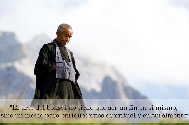 lariojabonsai's tweet photo. #bonsai #followdevuelta #arte #budismozen #zen #Espiritualidad #盆栽 #lunesDeGanarSeguidores #FraseDelDia #bonsais https://t.co/0J9GUBFr2g