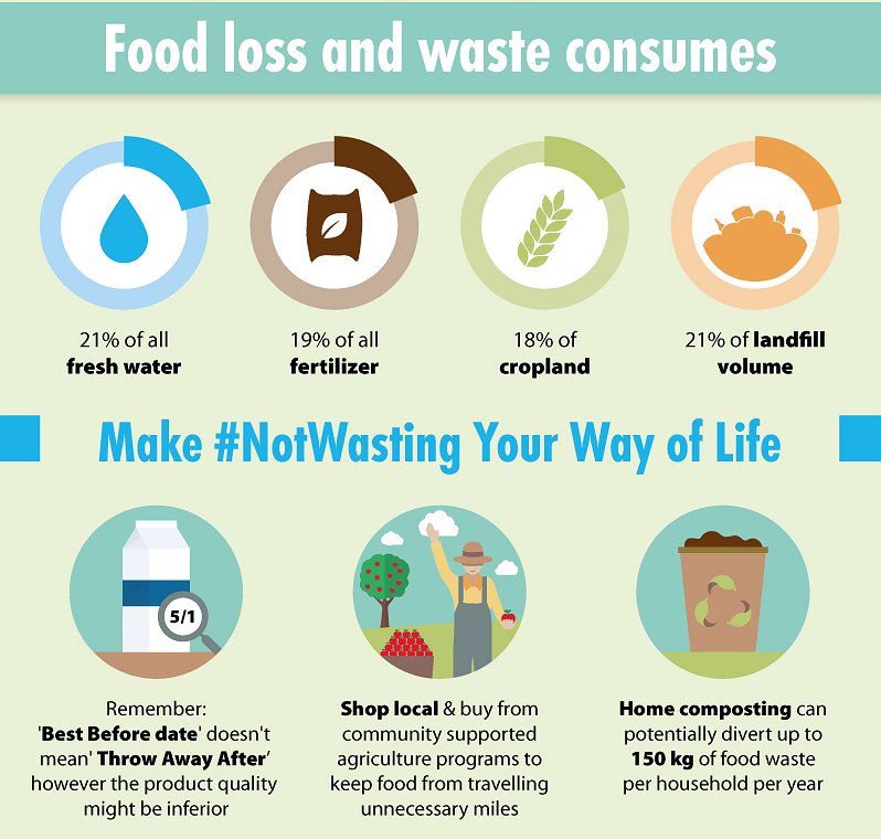 Food and Agriculture Organization tweet media