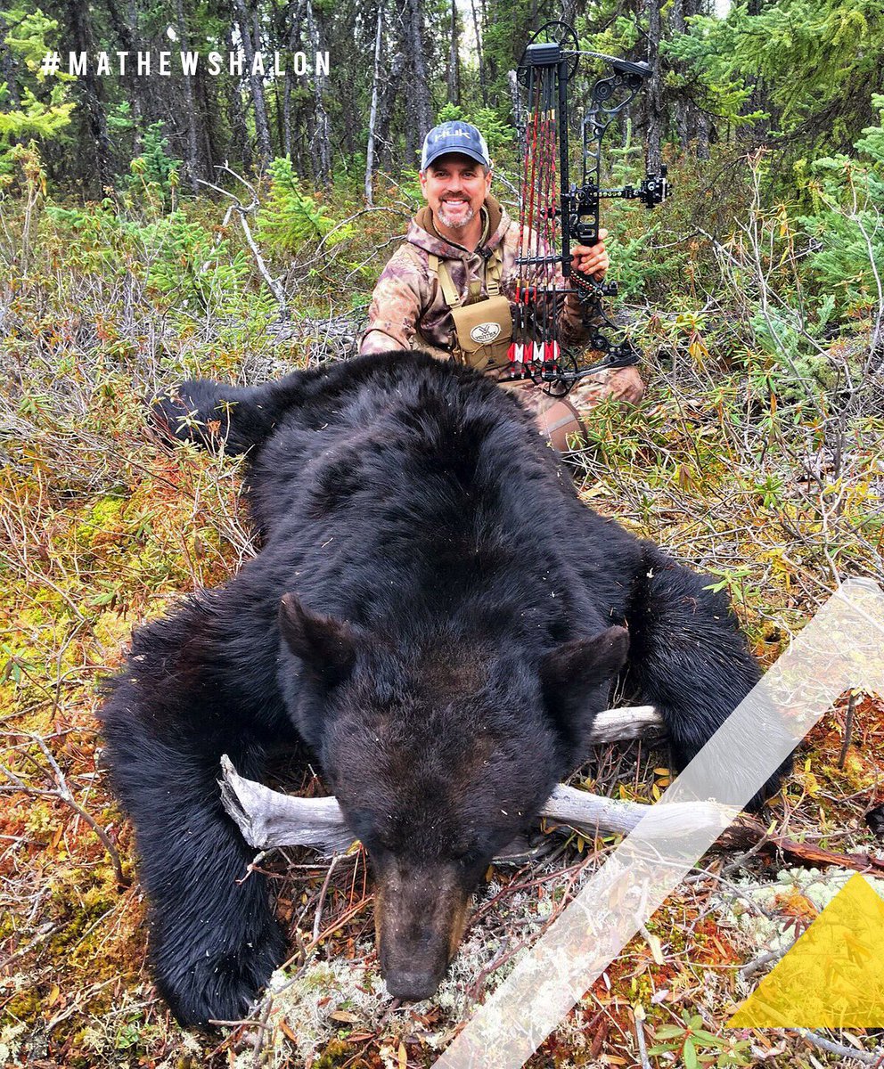 Mathews_Archery's tweet photo. Proving Ground. #MathewsHalon
Bowhunter | Jim Kinsey (@KINSEYHD)
Location | Saskatchewan https://t.co/KbB7FCIdPd