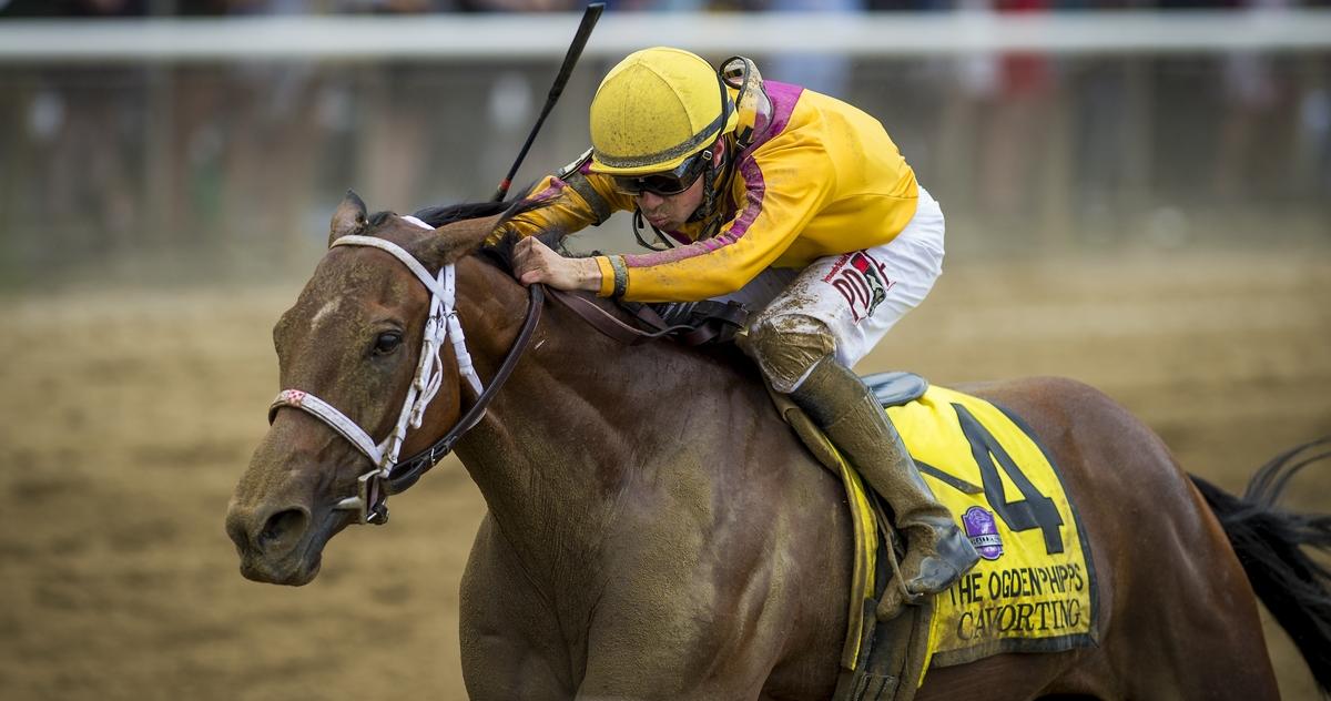 ScSouthernGal's tweet image. Cavorting Romps in #OgdenPhipps @BelmontStakes. #WinAndYoureIn - sot.ag/58ccq
