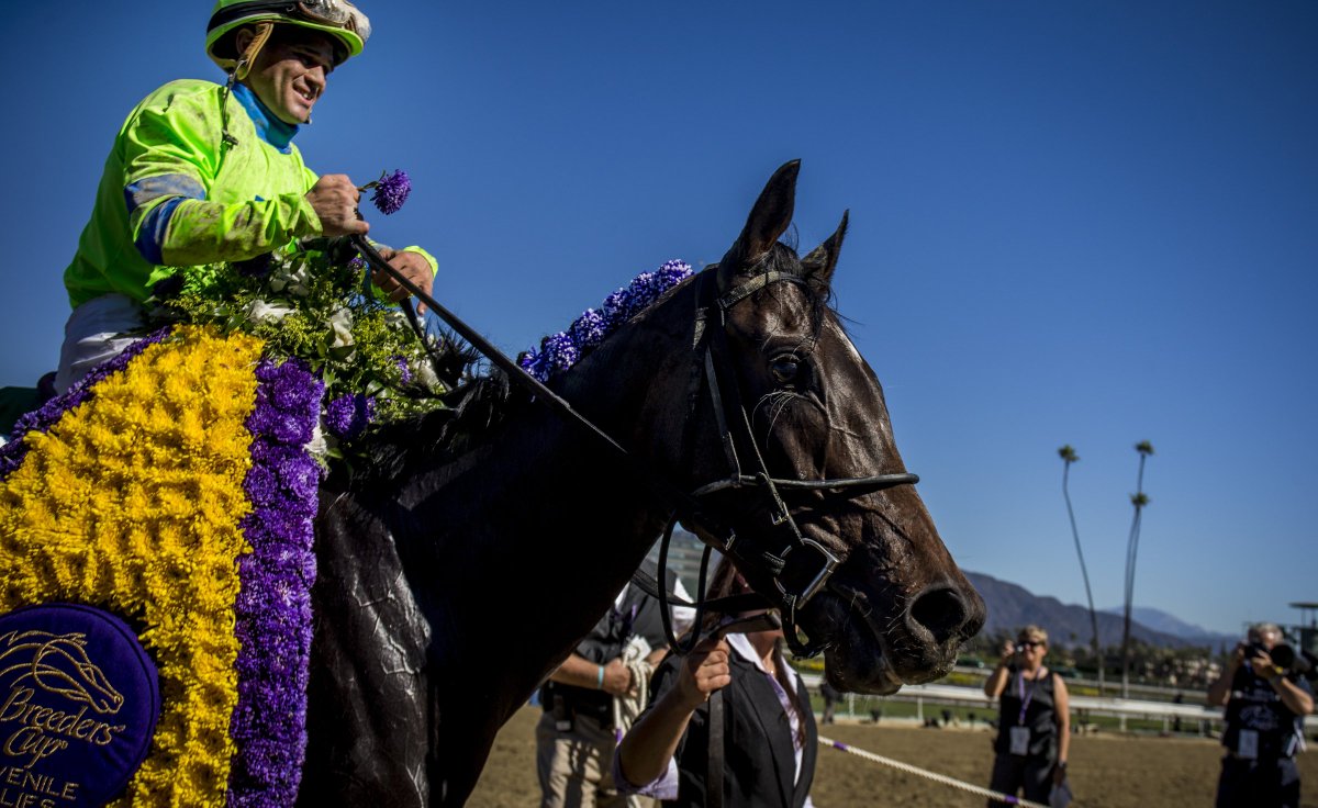 ScSouthernGal's tweet image. #Entry sot.ag/t/Dh