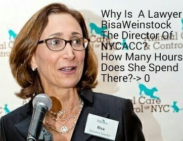 greennomad61's tweet photo. @BilldeBlasio @NYCACC #Weinstock #killed JOEJOE๐6-12
CIRDC+ ID #ExpMeds #MissingMeds #NYC
https://t.co/0Wf7cG0TBG ๐ https://t.co/jx48V7Jojf