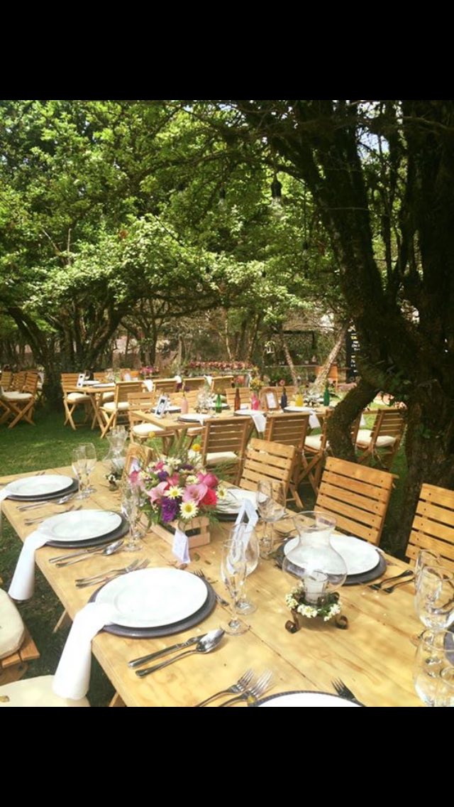 Restaura Catering tweet media