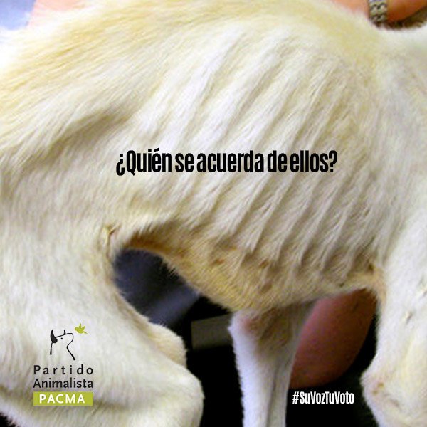 sergio_almarcha's tweet photo. #DebateACuatro #SuVozTuVoto https://t.co/OC7JvEqrSi