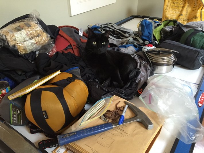 ColoTravelGal's tweet photo. Packing for my next #colorado trip! The cat thinks he's coming too. @colorado #travelin2016 @visitdurango https://t.co/ZUWh8xrXVZ