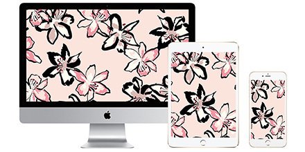 kate spade new york tweet media