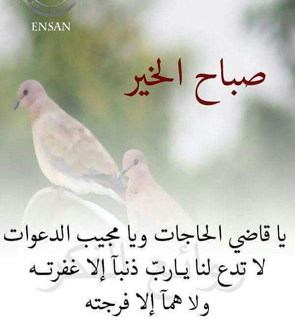 اللهم آمين يارب العالمين