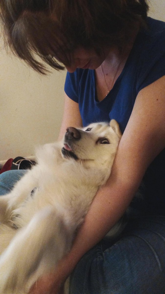 pathofanimals's tweet image. My sister and Blizzard have a special relationship