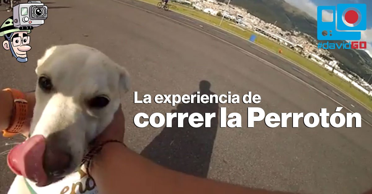 elcomerciocom's tweet photo. Nuestro reportero #DavidGO corrió la Perrotón junto a Nuni » https://t.co/LOLBLYKydi https://t.co/FB6bPlPJPZ