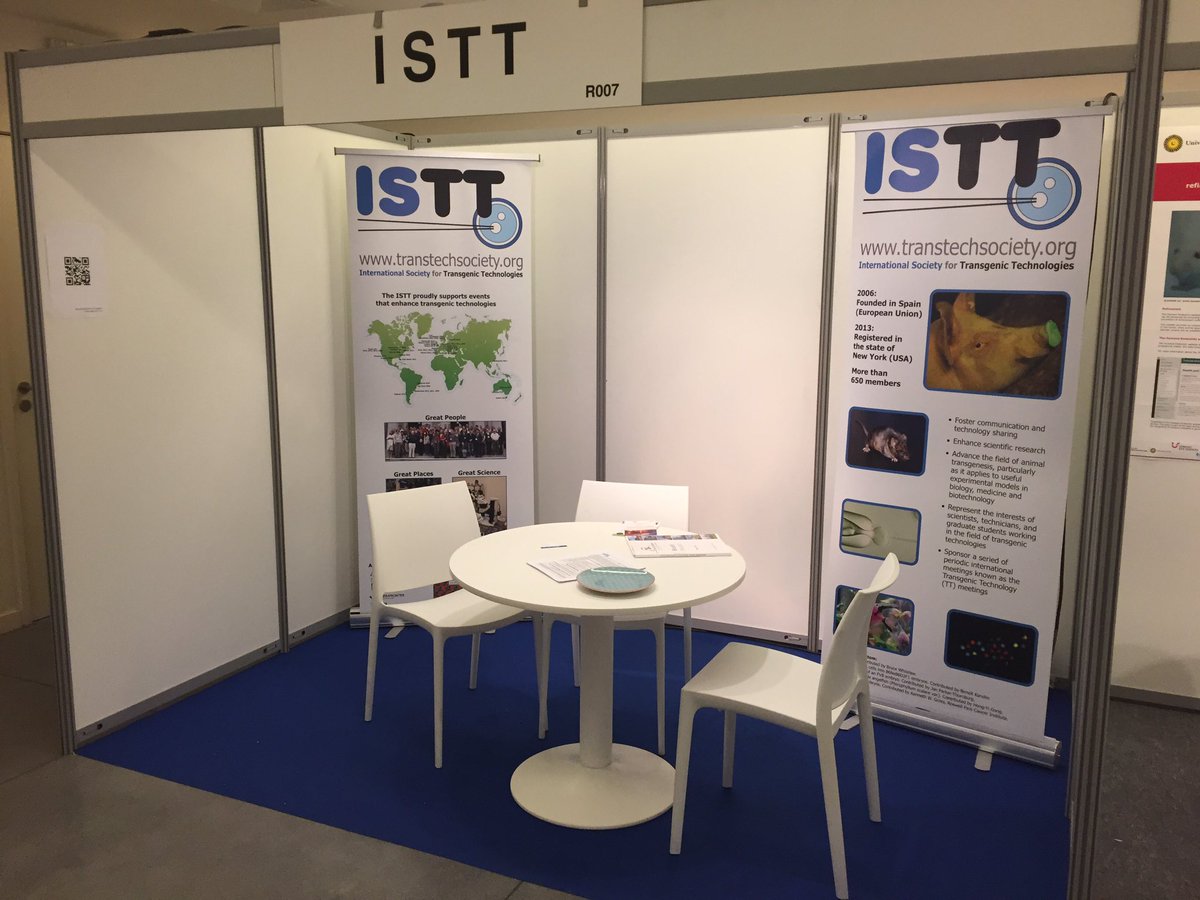 LluisMontoliu's tweet image. Today I am attending the #FELASA2016 meeting in Brussels to talk about the relevance of #noncoding genome @ISTT_TG