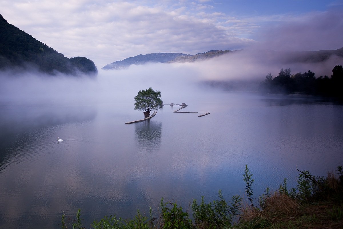 Be still. Stillness reveals the secrets of eternity.
Lao Tzu