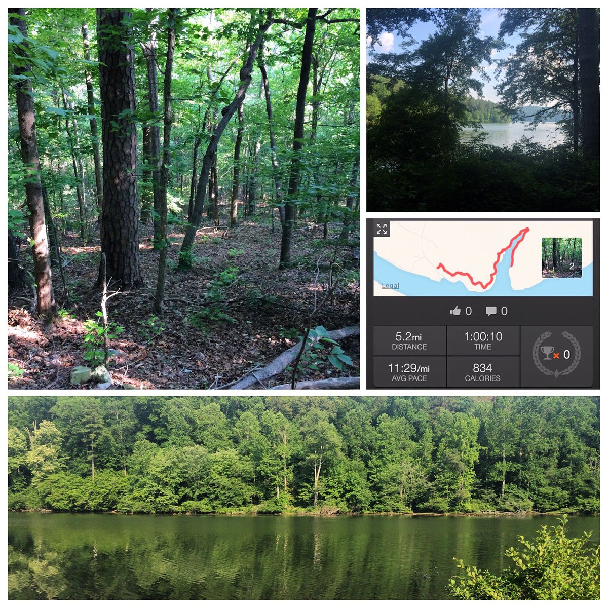 Canicross_US's tweet image. They finished the new trail. I ran 5mi of it with plenty to go. I think I'm in love!
#trailrun #trailrunning