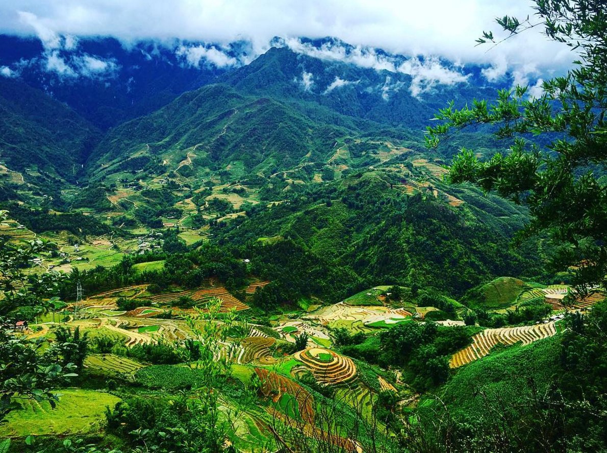 triptovietnam's tweet photo. This is #Sapa via @sashiepashie #Vietnam #VietnamTrip #VietnamTravel #AsiaTrip #AsiaTravel #VNtrip #Sapa #trip https://t.co/pry6qVgrfQ