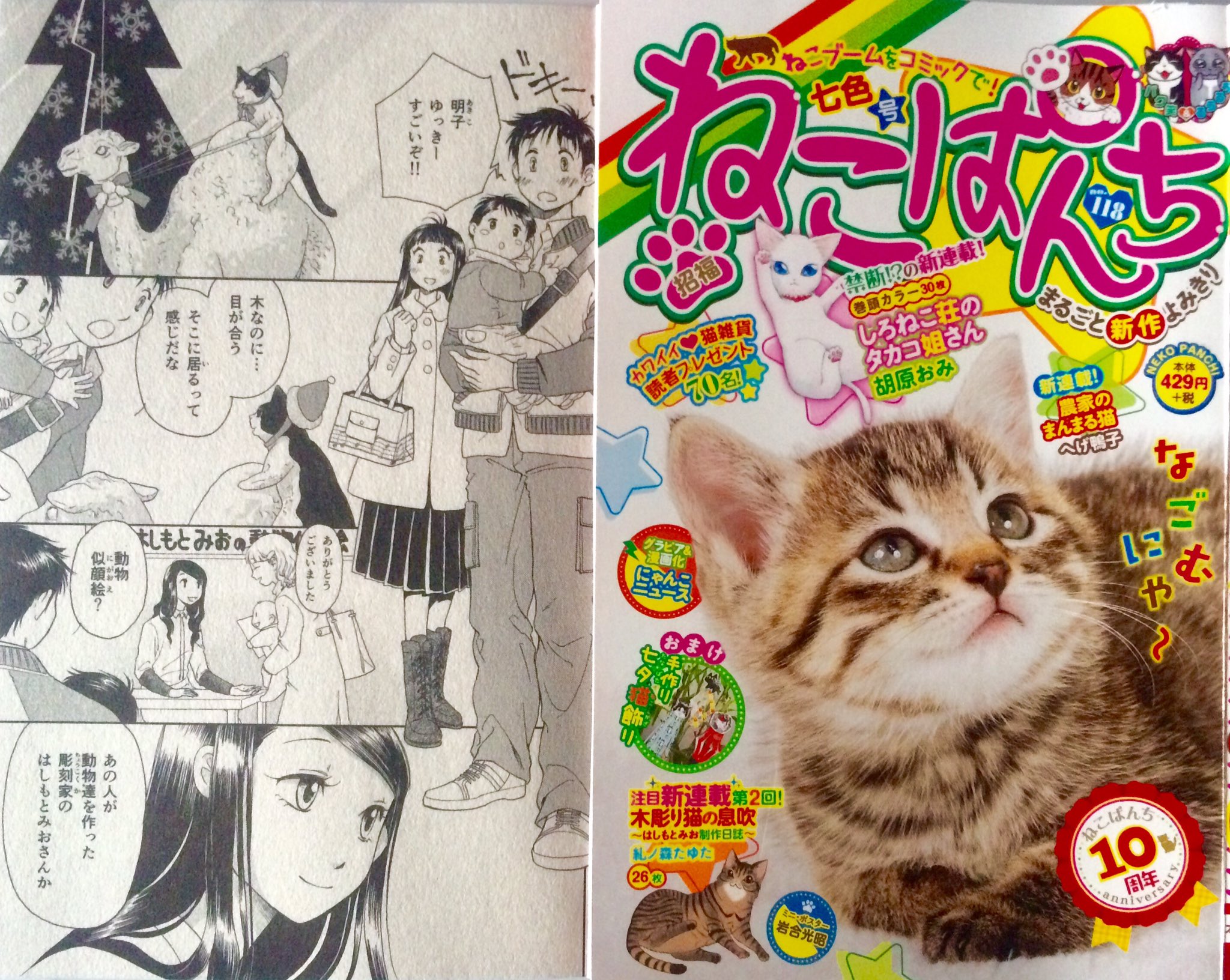 糺ノ森たゆた 単行本発売中 En Twitter 6月13日発売の ねこぱんち 七色号 に 彫刻家はしもとみおさんと依頼主さんと猫のお話し 木彫り猫の息吹 第２話 掲載していただいてます 彫刻に重なるそれぞれの温かい思い