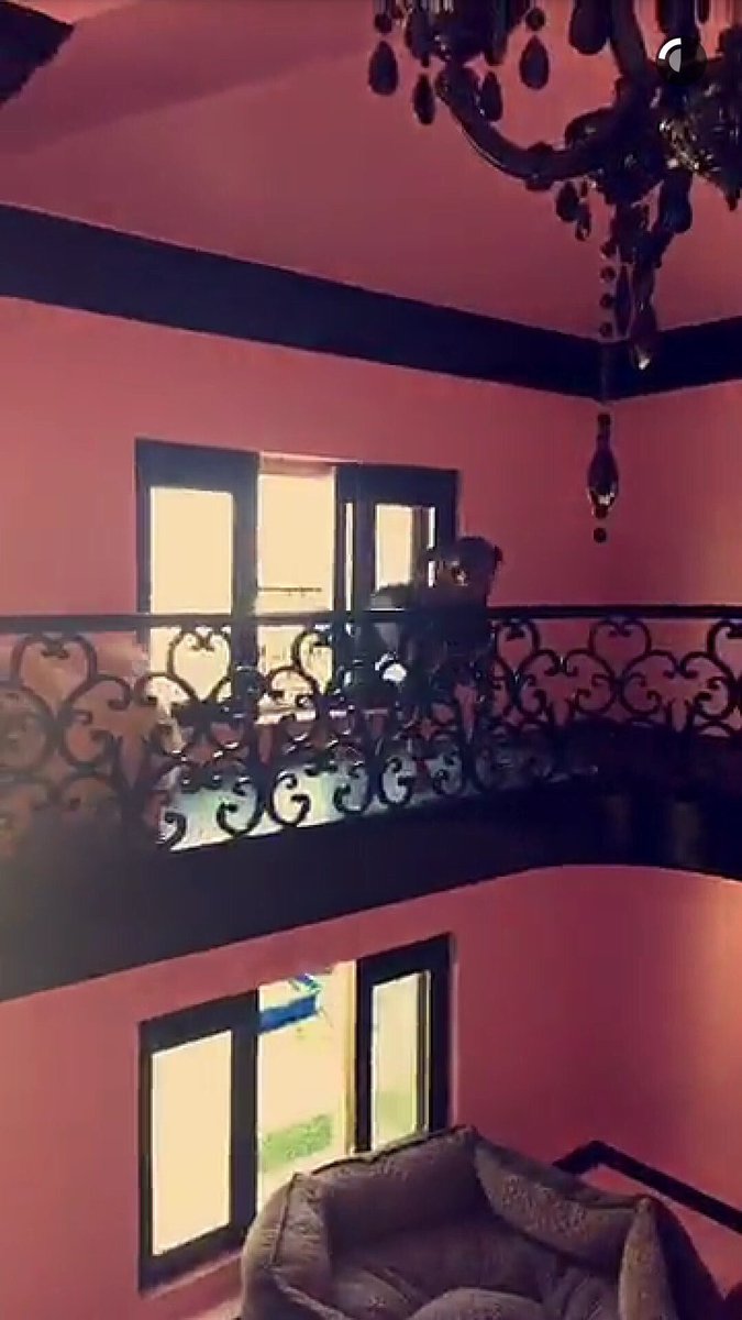 SweeetTexter's tweet image. i wanna be Paris Hilton rich to where my dogs can have their own 2 story luxury home with AC near the pool tbh