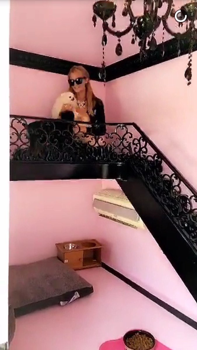 SweeetTexter's tweet image. i wanna be Paris Hilton rich to where my dogs can have their own 2 story luxury home with AC near the pool tbh