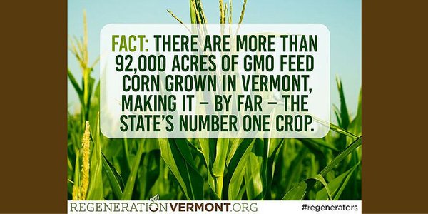 regenerationVT's tweet photo. Did you know? Join us in stopping degenerative &amp; toxic #ag in #Vermont: https://t.co/AgfOibfedA  #food #regenerators https://t.co/tZcFqn9fLG