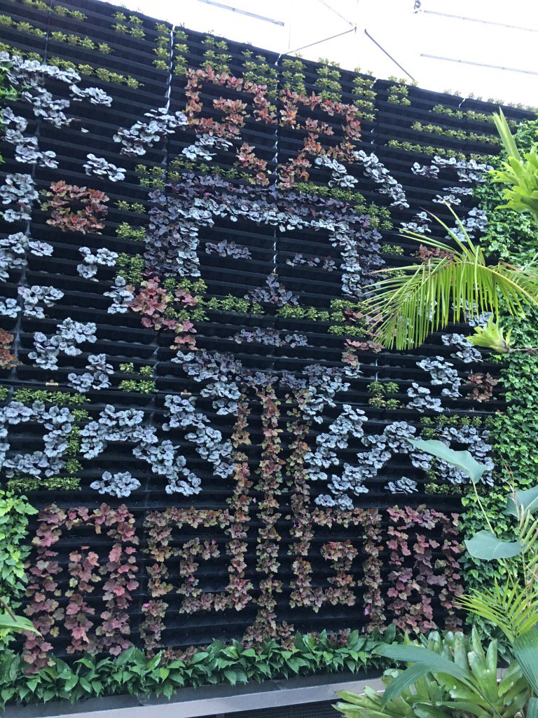 TexanInOz's tweet photo. Mayan God of #Chocolate @ #TheCalyx #RBGSdyney for #SweetAddiction largest interior #Greenwall in S. Hemisphere https://t.co/91JoXUXvgk