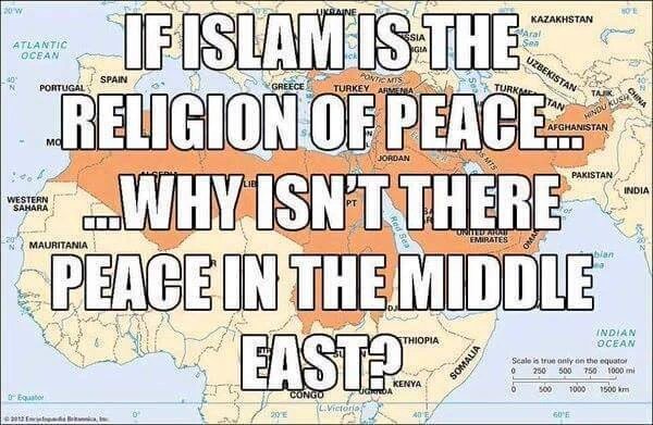 Hutch_USA's tweet image. .@Godndguns @DrottM If Islam is the religion of peace, why isn't there peace where they are?

#IslamIsTheProblem