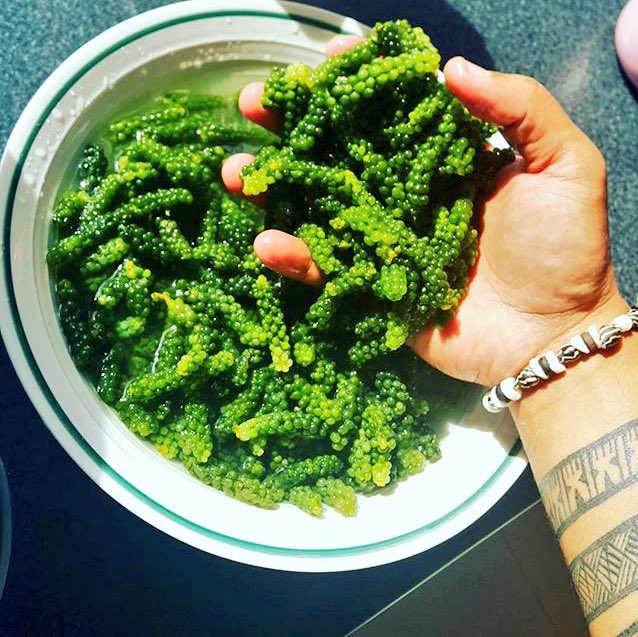 Viti_Kid's tweet image. Lunch is ready  #Seagrapes #nama leomon chilli kokoda, hot cassava woilei ! #Kusima #Fijiislands 📸 by @VikaWaradi