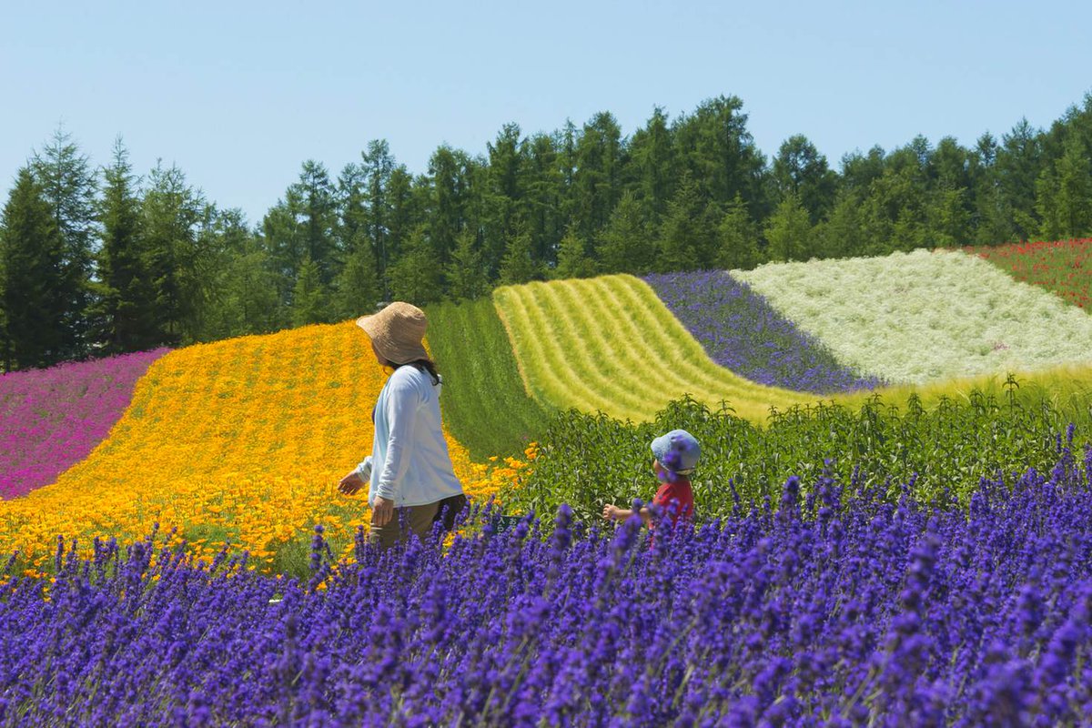 lonelyplanet's tweet photo. The best places to #travel in July, according to our #lp experts: https://t.co/l7NSeawQ0F https://t.co/3aKc4gg6FU