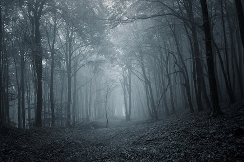 BookRiot's tweet photo. We asked, you answered! Here are your favorite thrillers with female leads: https://t.co/Snyet8jGBT https://t.co/N9qnw3XE84