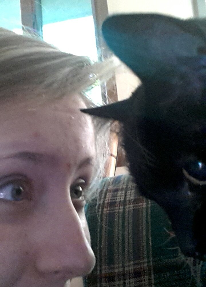 SCREECHINGSIVAN's tweet photo. Rest in peace, Sassy 💕
🐺😿🌹💖 😭😭😭
(August 25, 1998 - June 13, 2016) https://t.co/eTwj8Eu1DB