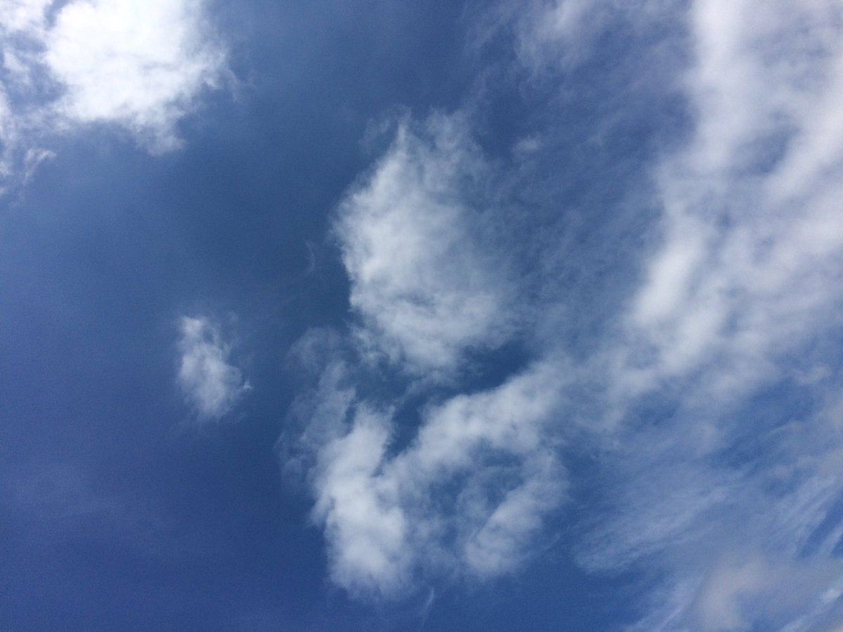 shenmicrystal's tweet photo. めーっちゃ空綺麗っちゃけどーっ🌞✨
空自由に飛べる日が来たら、まずやりたいのはクロール。息継ぎせんでいいやろし25ｍのタイム計ってみたい！！🏊⛅️
#イマソラ https://t.co/6zaGIYUaO9