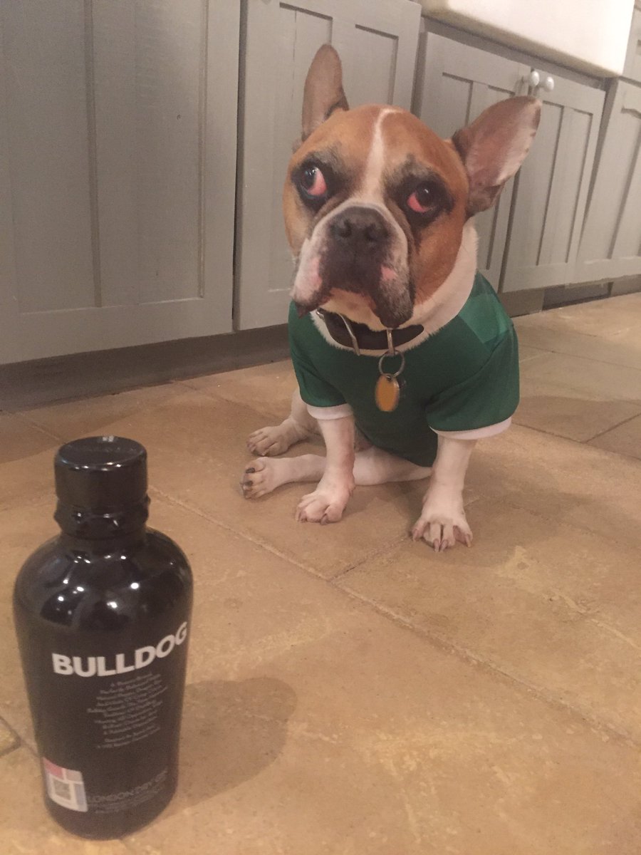 Bulldog Gin and Juice. I'm a gettin lit tonight.