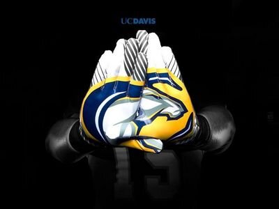 nickamoah1's tweet image. Just got an offer from UCD thanks to @Creightp and the wonderful UCD coaches!!! #GoAggies @UCDfootball