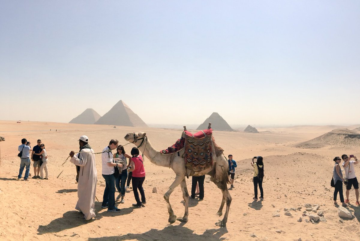 Camels, Pyramids, and of course tourists!🐪 #Pyramids #Hiking #travel #travelphotography #traveller #Desert