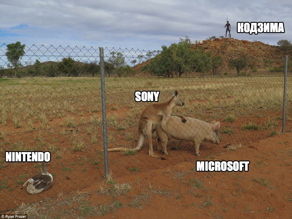 Ck56vaKVAAAMVy6.jpg