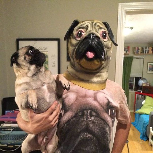 LandCooking's tweet image. How to ruin the psyche of the dog?