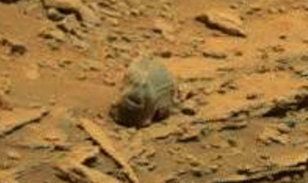 squatchism's tweet photo. #NASA #Mars #video reveals #bigfoot #skull #sasquatch #head - https://t.co/UffnSKaG2F via @Squatchism #bigfootskull https://t.co/UqICMKXiq7