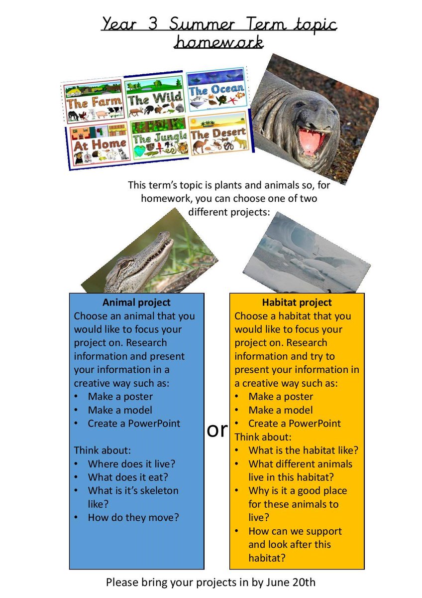 Don't forget to bring in your topic homework for this term