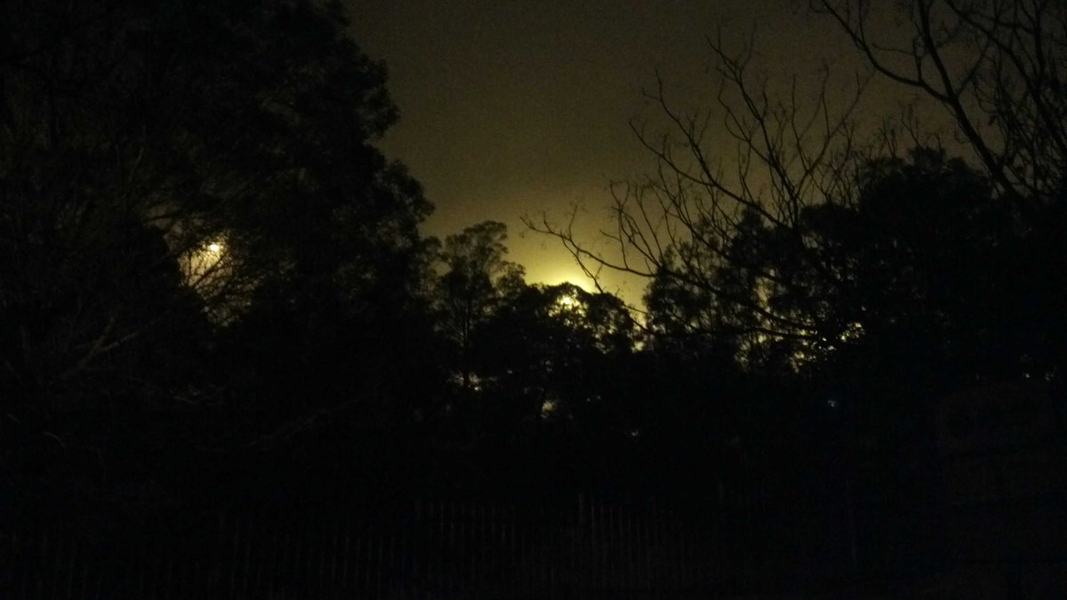 cheekylilo's tweet photo. #coldwintersmorning #winterinsa https://t.co/gVSuKp2Wth