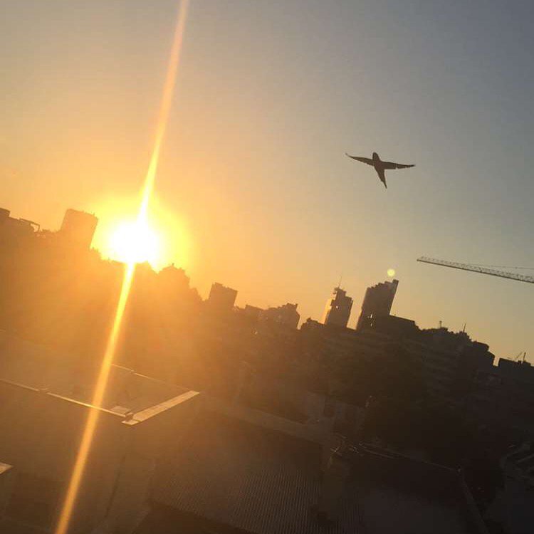 shiftyourspace's tweet photo. ☀️
~
#TheManyFacesOfTheSky
~
#Sydney #Clouds #View #Australia #Paddington https://t.co/eheVzRt2K6
