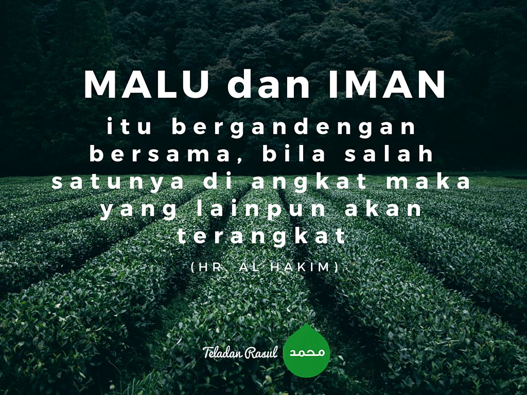 Malu &amp; iman itu bergandengan bersama,bila salah satunya di angkat maka yg lainpun akan terangkat #TeladanRasul