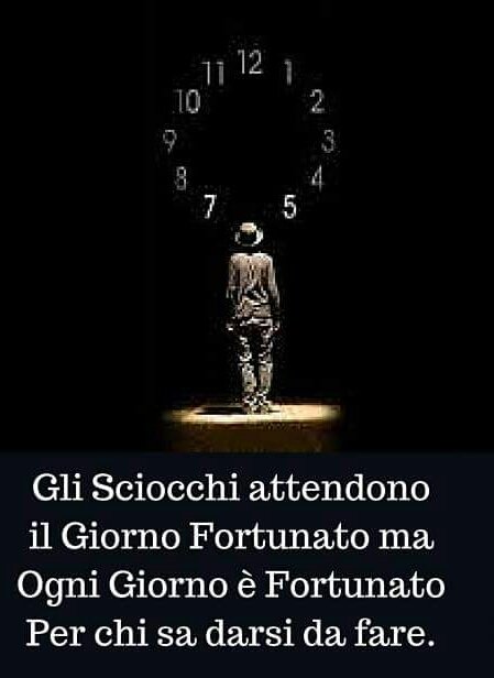 simone_dall tweet picture